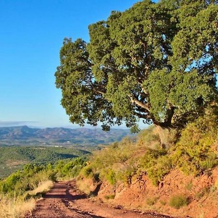 דירות Piso Sierra Calderona A 15 Minutos Del Mar Estivella מראה חיצוני תמונה